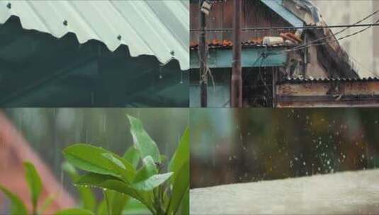 下雨雨水雨景谷雨植物雨滴特写高清在线视频素材下载