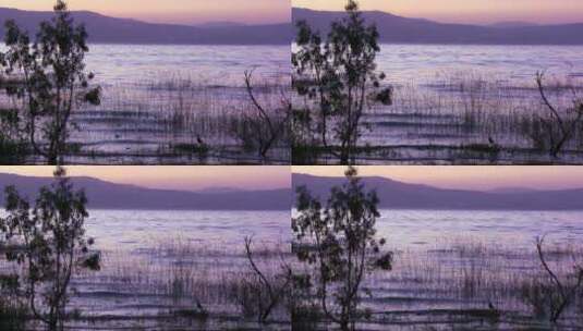 加利利海的夕阳下高清在线视频素材下载