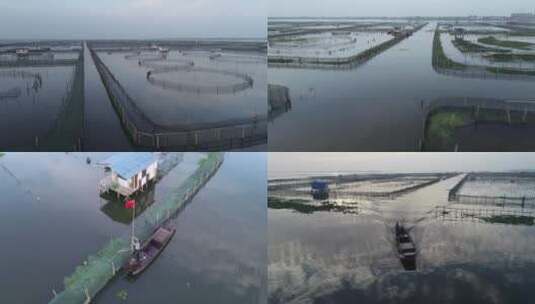 苏州阳澄湖航拍清晨日出水产养殖区高清在线视频素材下载