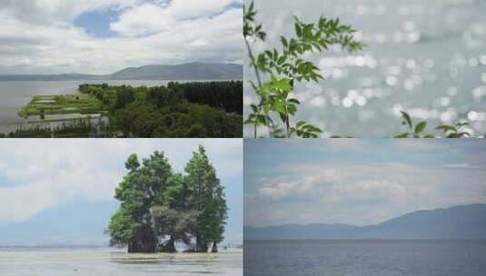 湖面与树意境实拍洱海高清在线视频素材下载