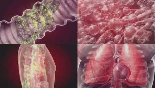 肺部机理动画高清在线视频素材下载