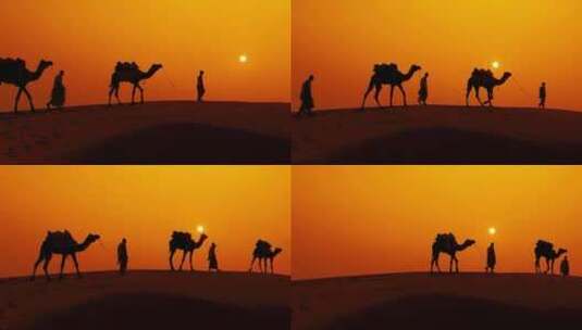 日落时的沙漠、沙漠中穿行的骆驼高清在线视频素材下载