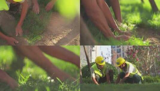 安装的新天然草皮卷高清在线视频素材下载