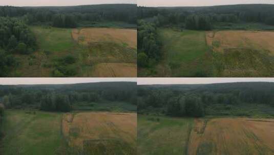 波兰波莫斯基卡苏比亚科尔布迪的森林和田野景观高清在线视频素材下载