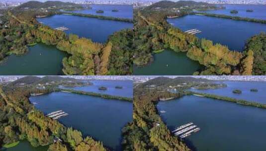 航拍杭州西湖杨公堤秋日美景高清在线视频素材下载