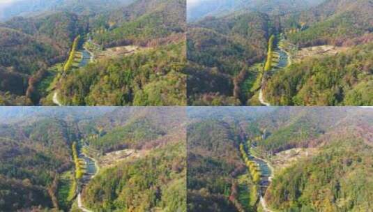 武汉木兰天池风景区深秋风光高清在线视频素材下载