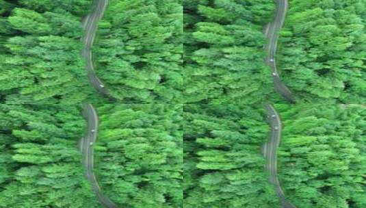 航拍绿色森林公路大自然风景高清在线视频素材下载