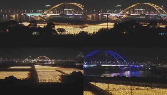 广州南沙凤凰三桥火龙果林夜景航拍视频高清在线视频素材下载