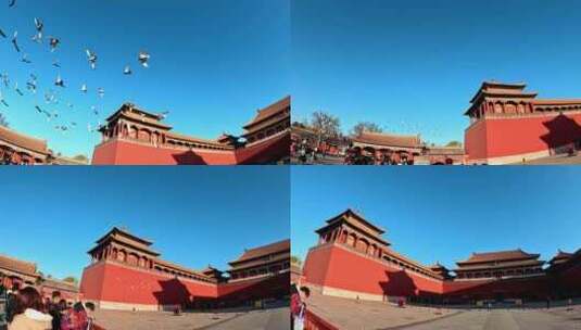北京故宫紫禁城午门前飞翔的鸽子高清在线视频素材下载