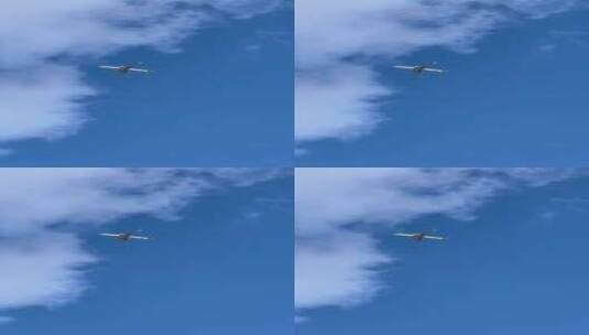 飞机从头顶飞过高清在线视频素材下载