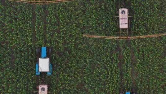 拖拉机在田间处理农业植物的鸟瞰图高清在线视频素材下载