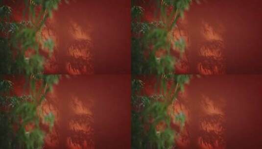 白马寺红墙唯美意境光影树影高清在线视频素材下载