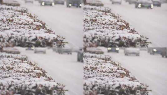 风景 冬季 冬天 雪景 下雪高清在线视频素材下载