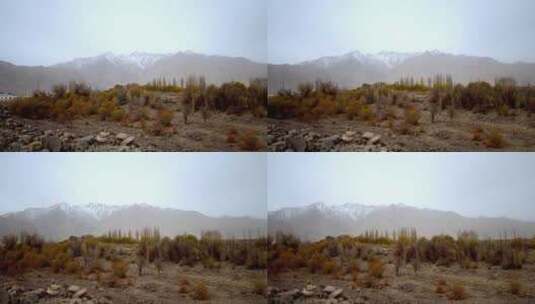 新疆石头城古城遗址历史传统文化高清在线视频素材下载