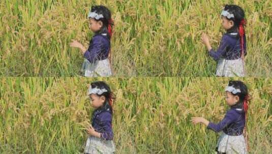 女孩在稻田中玩耍高清在线视频素材下载