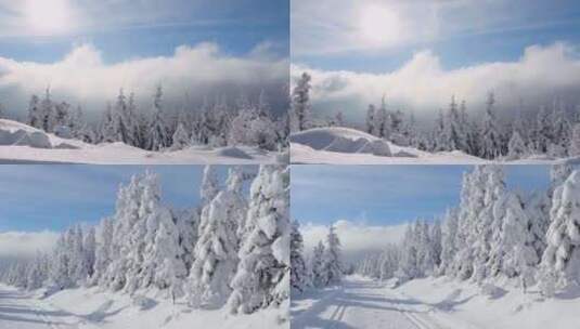 唯美冬季森林积雪空镜高清在线视频素材下载