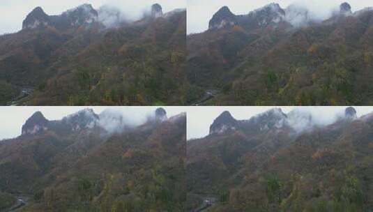 漫山红叶巴中光雾山附近高清在线视频素材下载