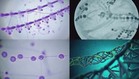 微观下的细胞分子结构高清在线视频素材下载