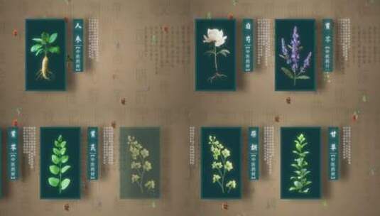 中医药材片头02（ae模版）本草纲目医药高清AE视频素材下载