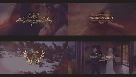金色浪漫婚礼标题素材包视频包装AE模板高清AE视频素材下载