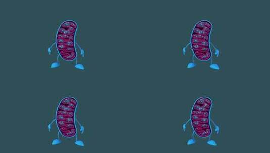 有趣的3D卡通线粒体（包括alpha通道高清在线视频素材下载