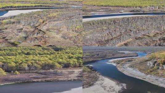 竖屏航拍根河湿地景色高清在线视频素材下载