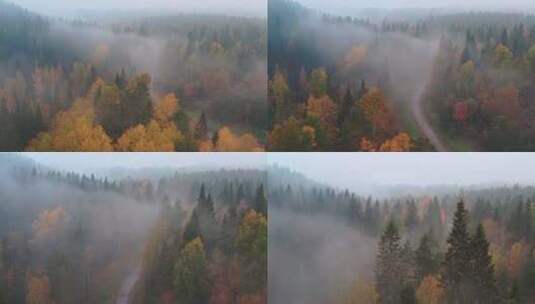 航拍云雾缭绕的森林高清在线视频素材下载