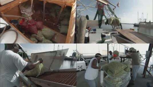 虾在墨西哥湾海岸卸货高清在线视频素材下载