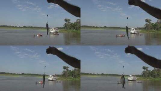 渔民钓上食人鱼的特写镜头高清在线视频素材下载