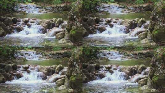 树林里的一条小落基河高清在线视频素材下载