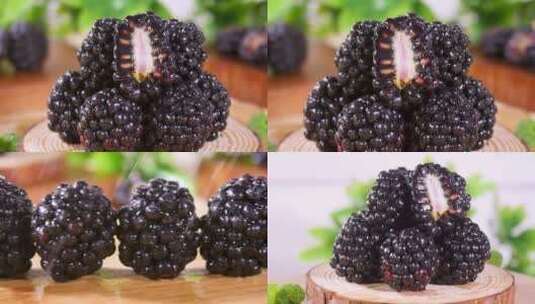 黑莓鲜果高清在线视频素材下载