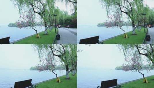 杭州西湖风景区白堤风景高清在线视频素材下载