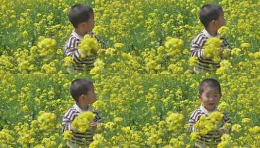 春天中国女性和小朋友在油菜花田地中玩耍高清在线视频素材下载
