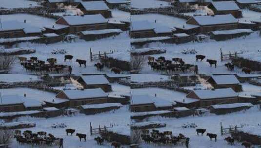 中俄边境冬季雪乡村庄高清在线视频素材下载