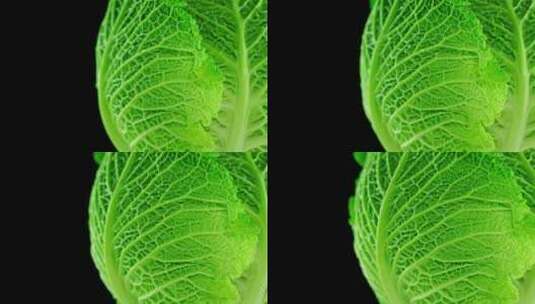 白菜 大白菜 蔬菜 绿色 青菜高清在线视频素材下载