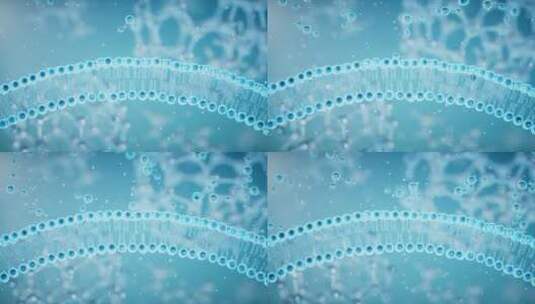 细胞膜与吸收的分子3D渲染高清在线视频素材下载