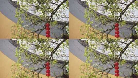 杭州飞来峰三天竺法镜寺建筑高清在线视频素材下载