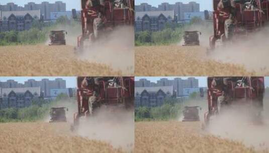 小麦成熟期机械收割忙高清在线视频素材下载