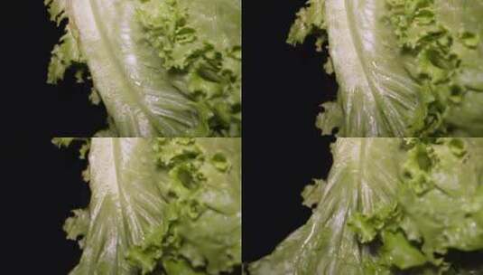 奶油生菜绿菜叶健康蔬菜高清在线视频素材下载