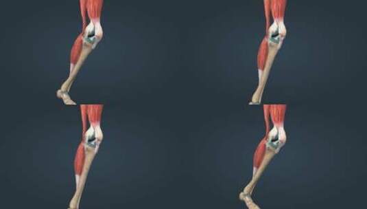 膝关节关节炎高清在线视频素材下载