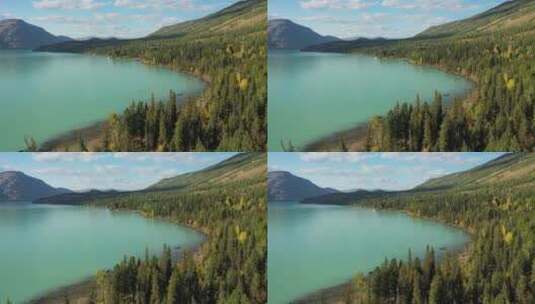 新疆阿勒泰喀纳斯湖泊森林自然风光高清在线视频素材下载