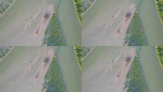 广东深圳河深圳湾红树林湿地航拍空镜素材高清在线视频素材下载