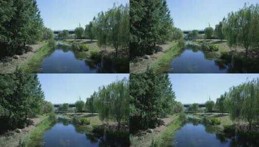 武汉武昌沙湖公园风景高清在线视频素材下载