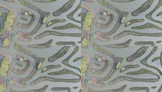 特色地形弯曲的水上植物迷宫高清在线视频素材下载