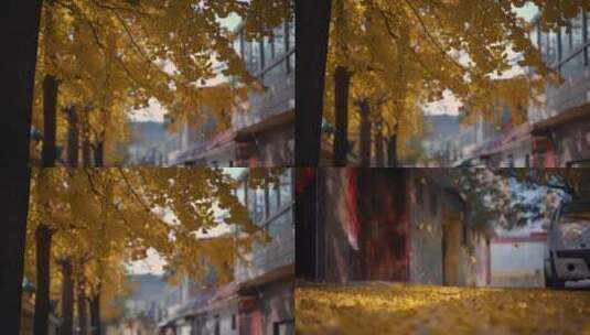 秋天银杏落叶慢镜头高清在线视频素材下载
