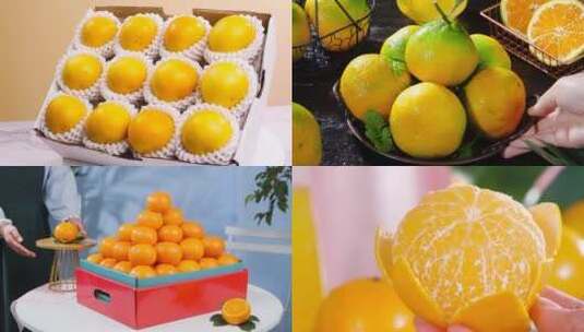 橘子合集高清在线视频素材下载