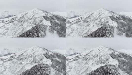 4K登峰登山高山雪山攀登冬季滑雪高清在线视频素材下载