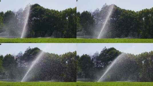 城市草坪洒水喷水逆光升格视频高清在线视频素材下载