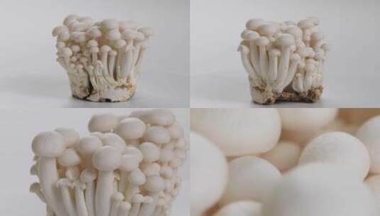 美食食用菇蟹腿菇展示高清在线视频素材下载