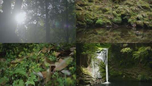 山间森林瀑布溪流河流苔藓树林阳光高清在线视频素材下载
